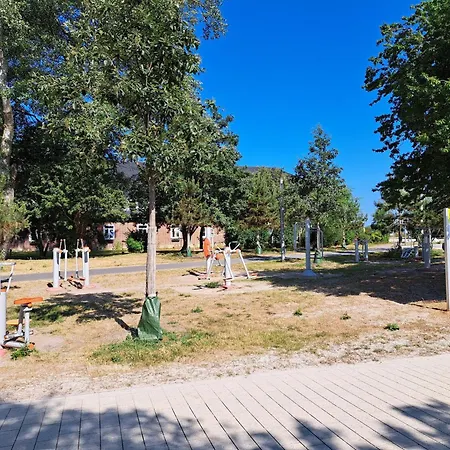 Kuestenzauber 14 - Muschelsucher *